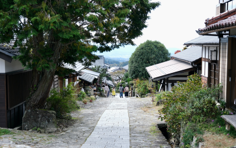 三千櫻酒造の歴史｜老舗蔵元の創業143年目の決断とは