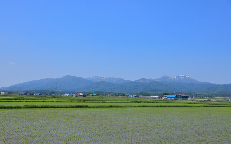 金滴酒造の特徴｜北海道の地酒にこだわる蔵元