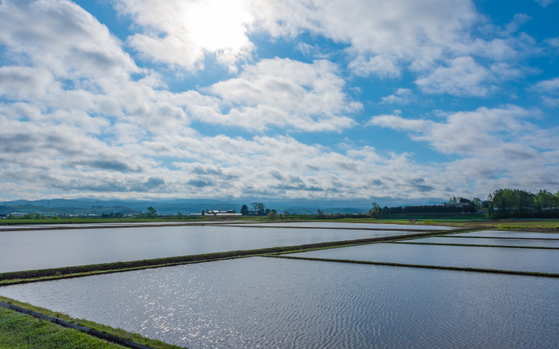 小林酒造のこだわり・特徴｜特定名称と北海道産の原料米100％