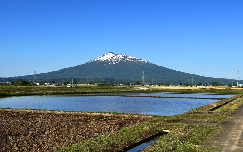 六花酒造の歴史｜300年以上の歴史がある老舗の蔵元