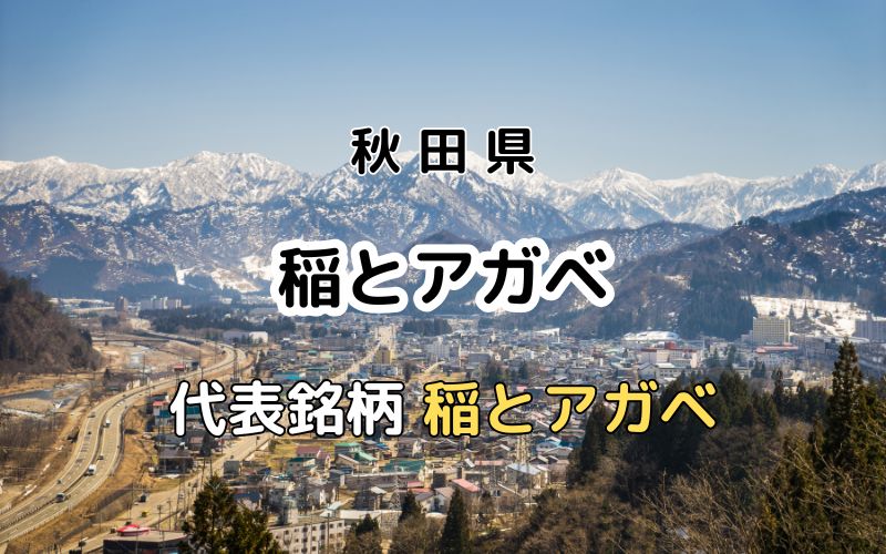 稲とアガベ：代表銘柄「稲とアガベ」｜男鹿の「クラフトサケ醸造所」