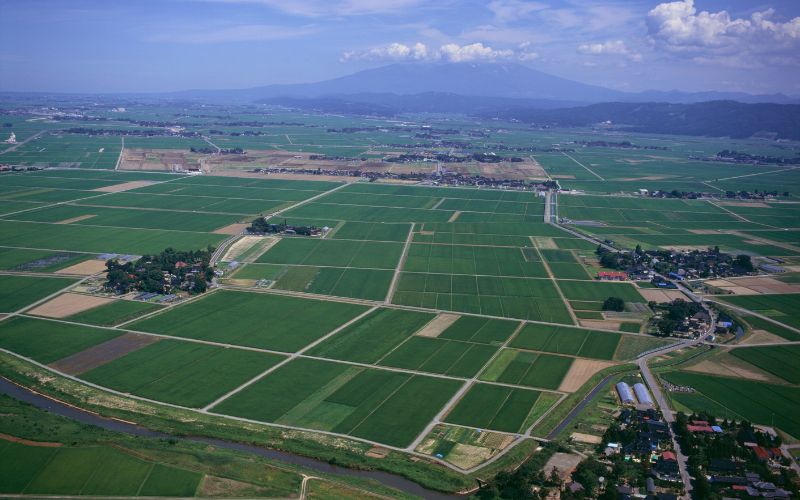 山形県庄内平野｜お酒のページ