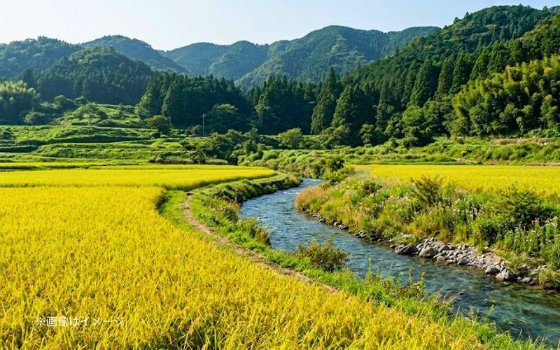 千葉県でもっとも酒蔵が多い君津市の恵まれた自然環境をイメージした画像