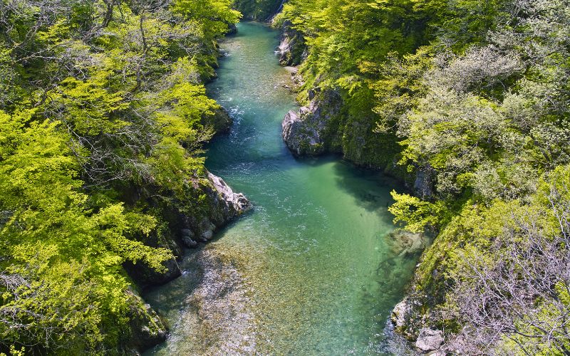 多摩川